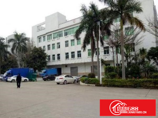 凤岗油甘埔楼上带装修整层1050平带豪华装修水电齐