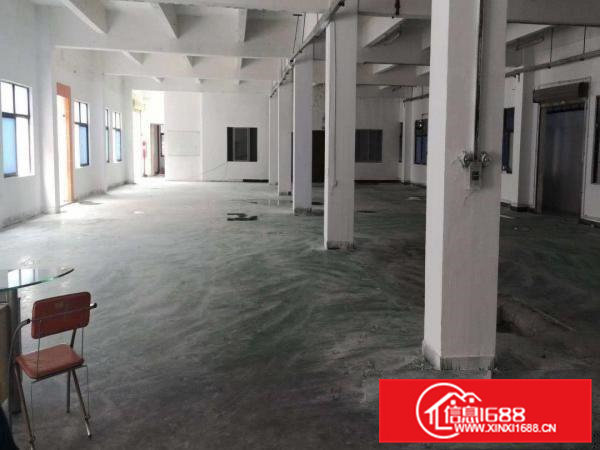 横沥汽车站新出独院3800平方招租【实际面积300起分】