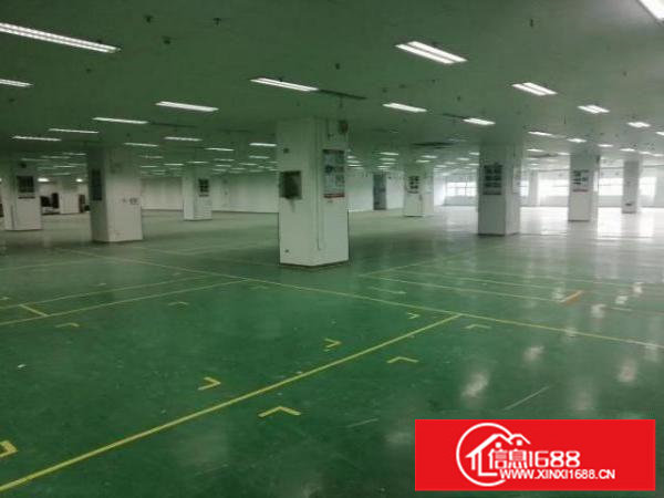 光明龙大高速口，楼上精装修，开发商直租，无公摊带红本