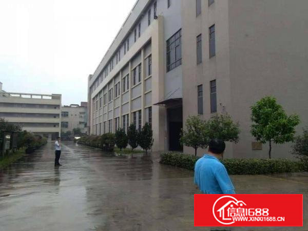 长安乌沙原房东楼上5500平每层厂房出租电商仓库出租分租