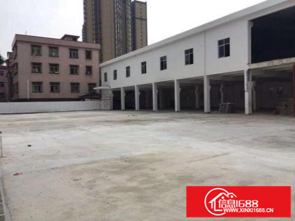 原房东独门独院一比一超大空地，可做任何行业