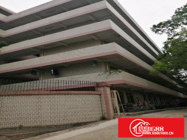 清溪11元的厂房，可以整租或分租。11元喔你要尽快联系我吧