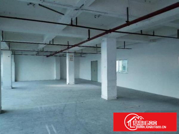 布吉丹平社区业主厂房3000平米直接招租。100起可分