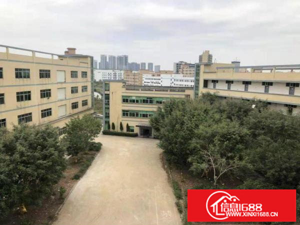 坂田华为附近大型工业区独门独院业主直租价格实惠有宿舍