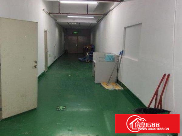 出租宝安区西乡550平正规厂房