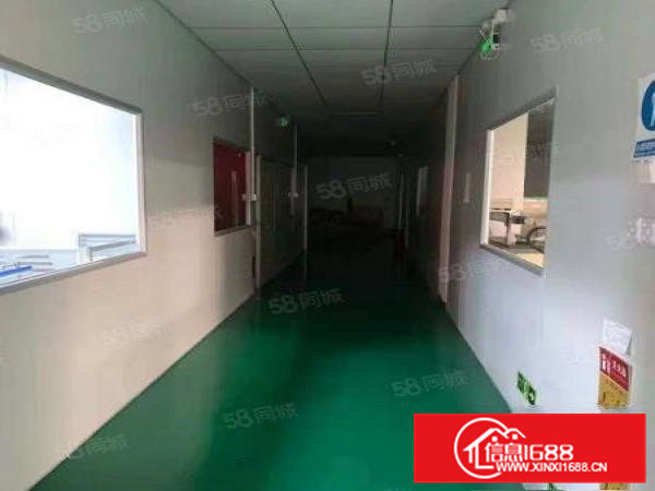 凤岗原房东无公摊带吊顶地坪漆厂房出租一楼900平租金便宜