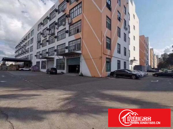 超大型园区新出整层5000平、可分租