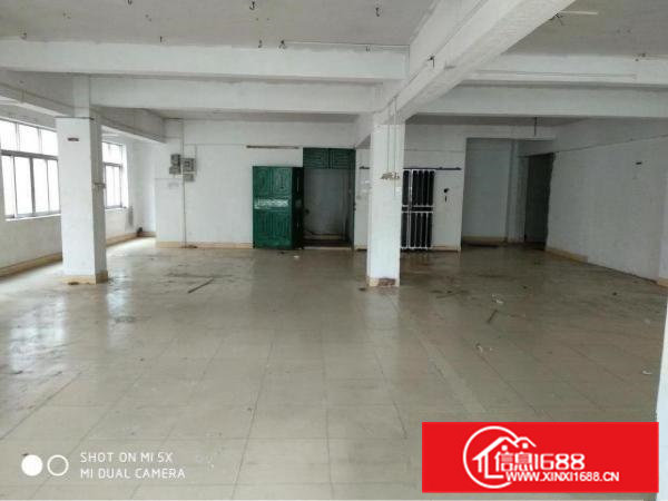 常平袁山贝8元独栋标准厂房招租