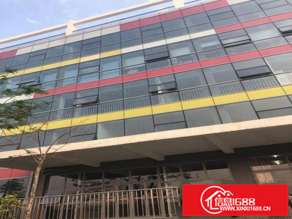 坪山大工业区1楼850平带装修新式钢构11米出租