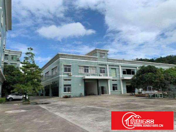 桥头镇靠近东深路新出原房东超大空地独院标准厂房5200平租