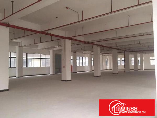 原房东高端厂房出租分租700起可办环评靠近东部快线实际图片