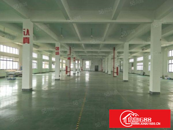 形象好大良红岗1050方厂房便宜招租九成新有产权精装