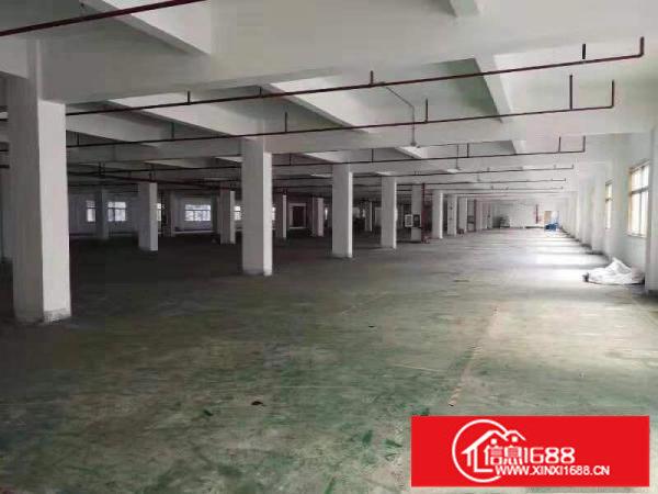 六约埔夏路大工业区红本厂房招租，大小面积可分租