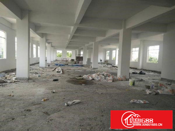 大岭山向东村全新独院厂房6000平出租