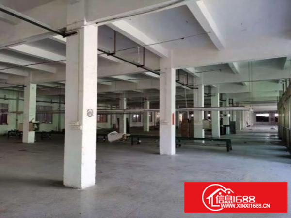 清溪荔横两层独院厂房出租7000平形像好空地大