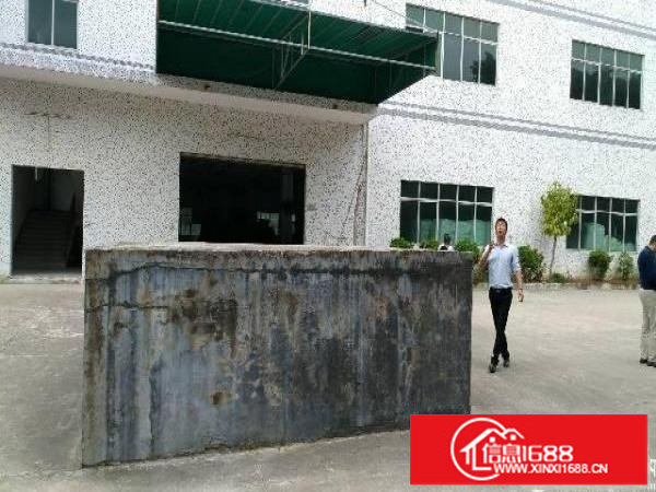 横岗新出村委独院厂房2000到12000平米招租