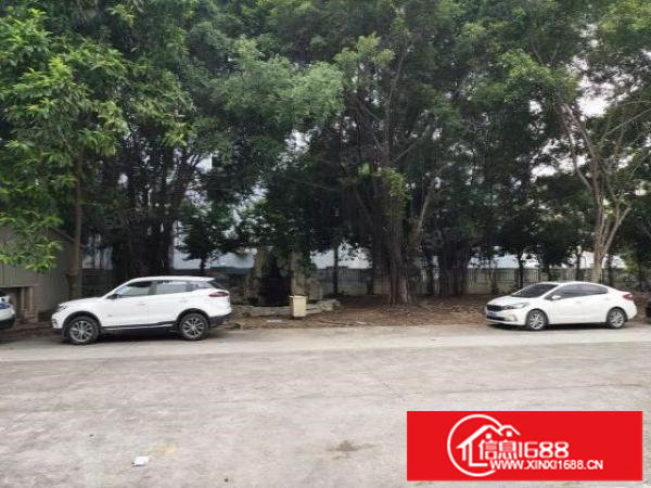 观澜库坑银星高速口2000平独门独院超大空地厂房出租