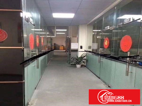 出租龙岗区龙西厂房一楼1000平方无需转让费现成办公室精装修