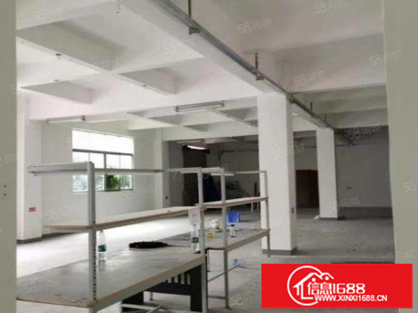 坂田带装修仓库厂房出租120平260平1000平可分租