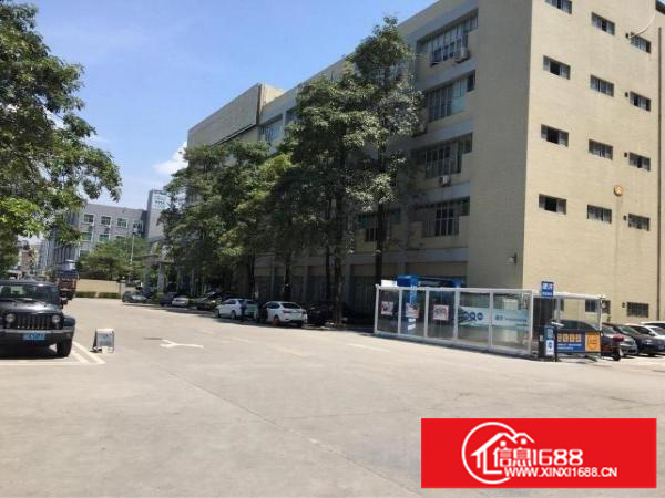 全新豪华办公室出租（带装修，可分租）