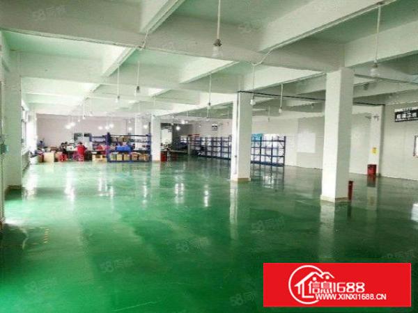 塘厦凤凰岗独院出租3楼1600平方！面积实在！可分租！带装修