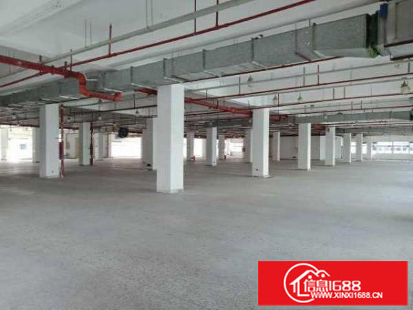 龙华大浪时尚小镇附近楼上2860平花园式厂房出租