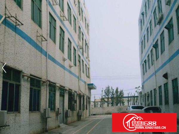 大道边新出二楼1000平方精装修厂房出租