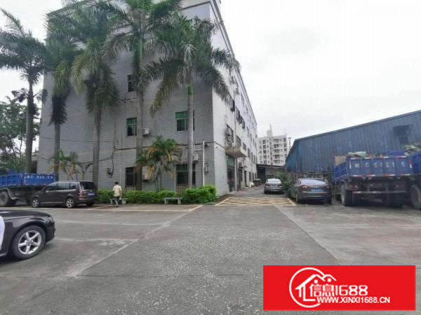 观澜章阁880平带红本独门独院精装修厂房出租大小可