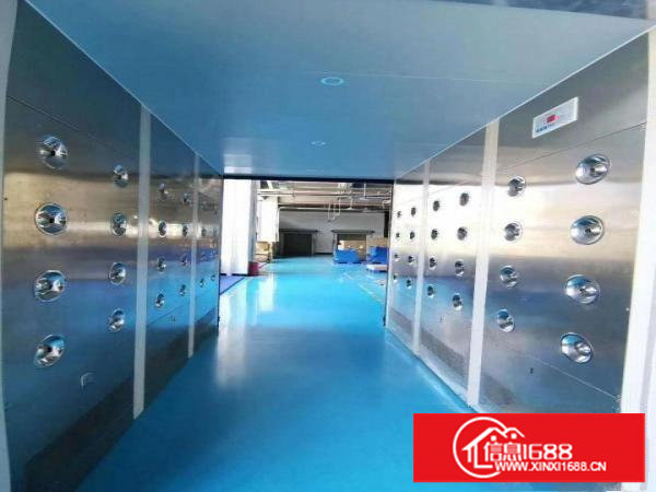 口罩电子烟长安乌沙原房东红本厂房3000平可分租