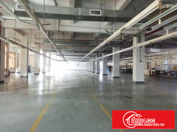 万江滘联工业区新出独门独院标准厂房9400平方