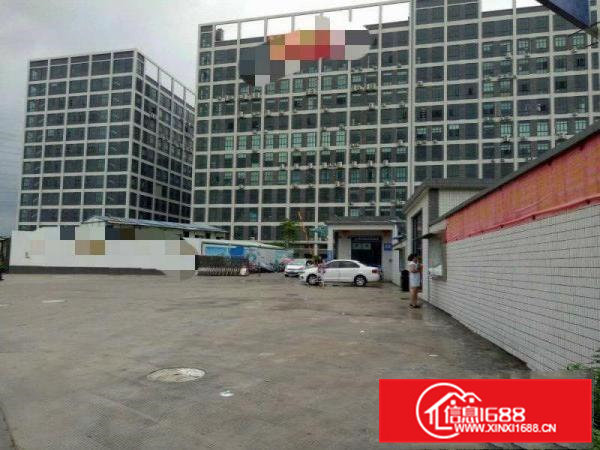 精装修办公，大朗科技园二楼1300方价格便宜