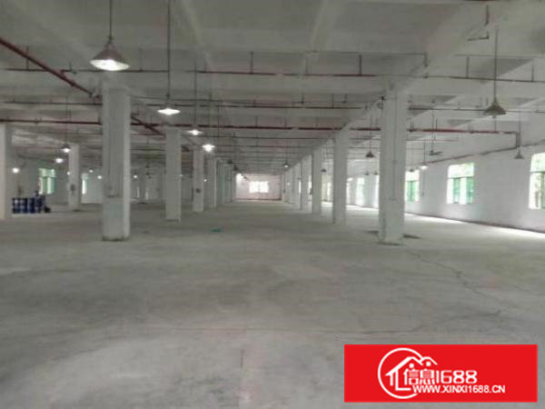 高埗镇全新独门独院,超大空地,可整租也可分