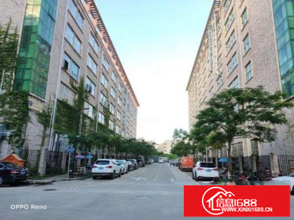 坪山坑梓10万级无尘车间带装修红本厂房2700平方招租