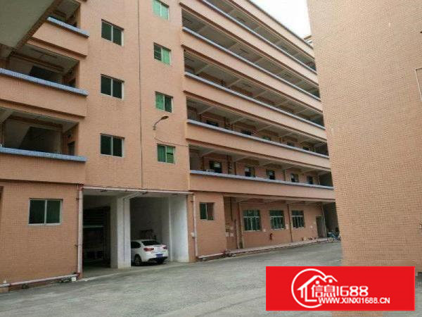 塘厦沙湖全新厂房1000平，现成办公室装修