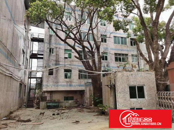 安良原房东（一手房东）小独院厂房出租4300平