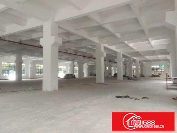 寮步松山湖大道旁新厂房1000到10000平方，每层2000