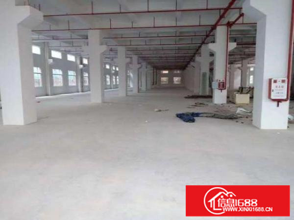 出租原房东全新独门独院18000平方形象好