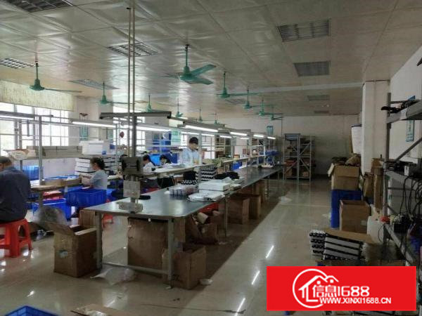 雁田新出商业街边，楼上450平方！带豪华办公室装修