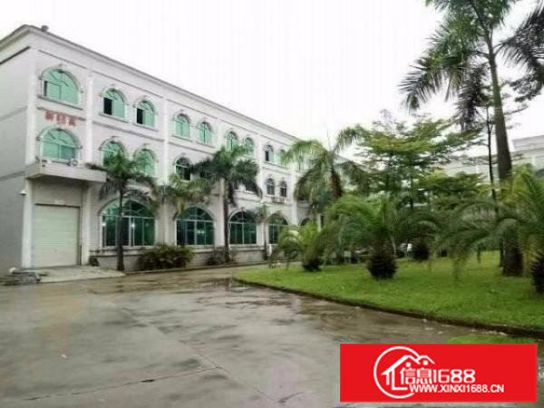 观澜福民带豪华装修三楼1100平方厂房出租