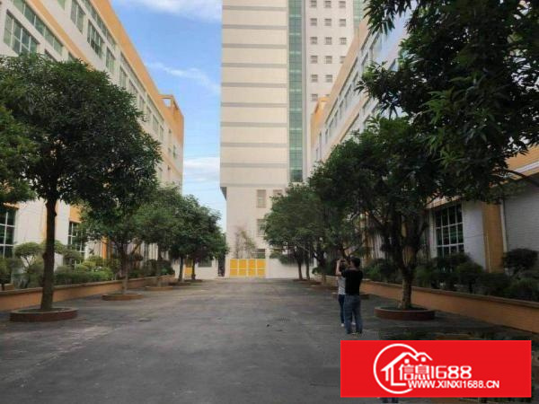 秋长新出钢构4500平主干道旁可进大车滴水7米