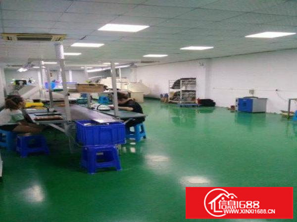 坪山金沙现房一一二楼800平整层工业厂房出租送全新装修