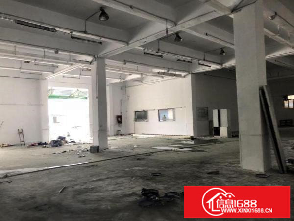 横岗新出一楼楼上300平500平，实业办公仓库加工