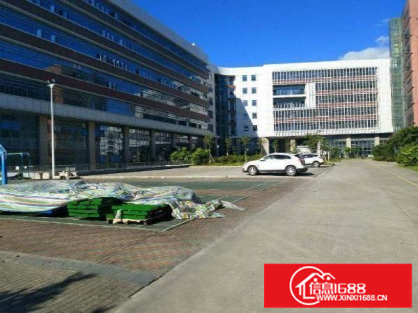 仲恺TCL旁一楼厂房出租2500平米层高6米