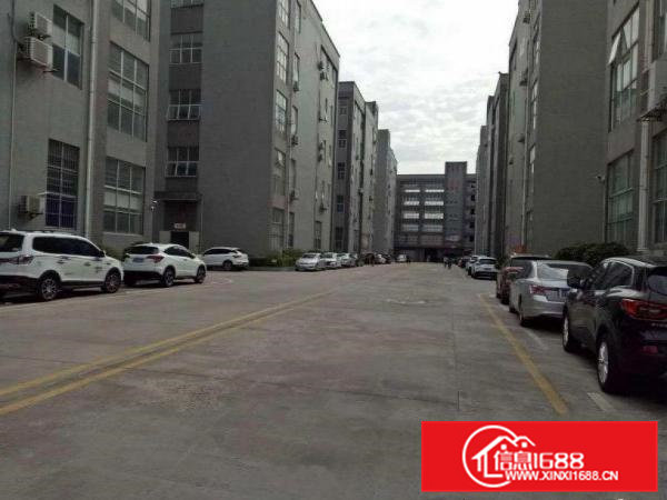 横沥山夏全新标准厂房一楼2800平大小可分租！