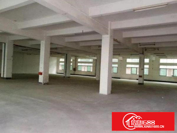 横沥田坑二楼标准厂房1260平方招租