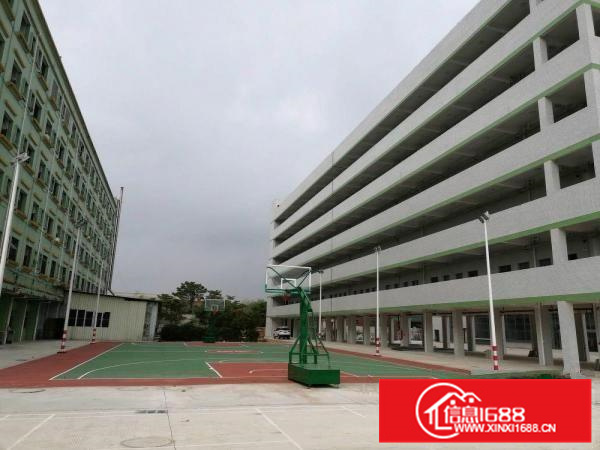 惠阳区沙田S356省道边独院厂房22000平方出租