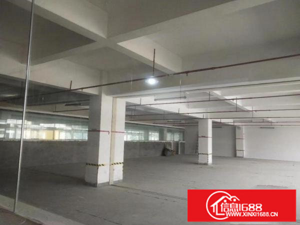 横岗荷坳新出楼上600平带精装修红本厂房