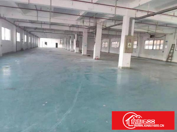 8000方原房东标准独院，空地大，证件齐全