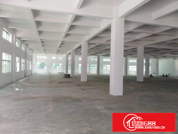 泰美300平方起租证齐工业园