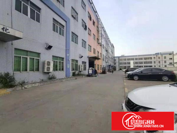 塘厦龙背岭1400平方米 标准2楼厂房 面积实在 办公室装修